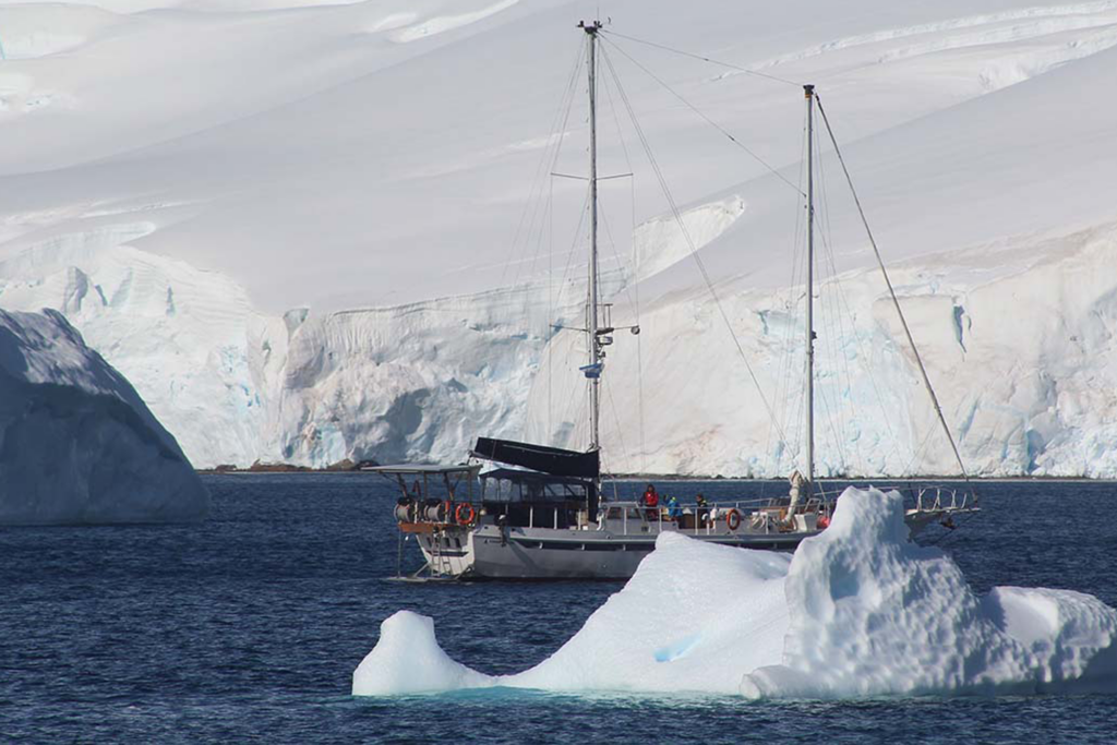 velero entre grandes icebergs